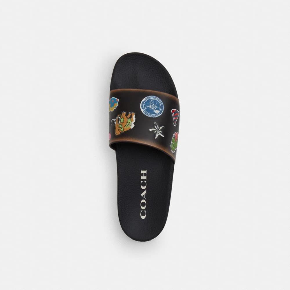 Rexy 10th Birthday Pool Slide With Sticker Print