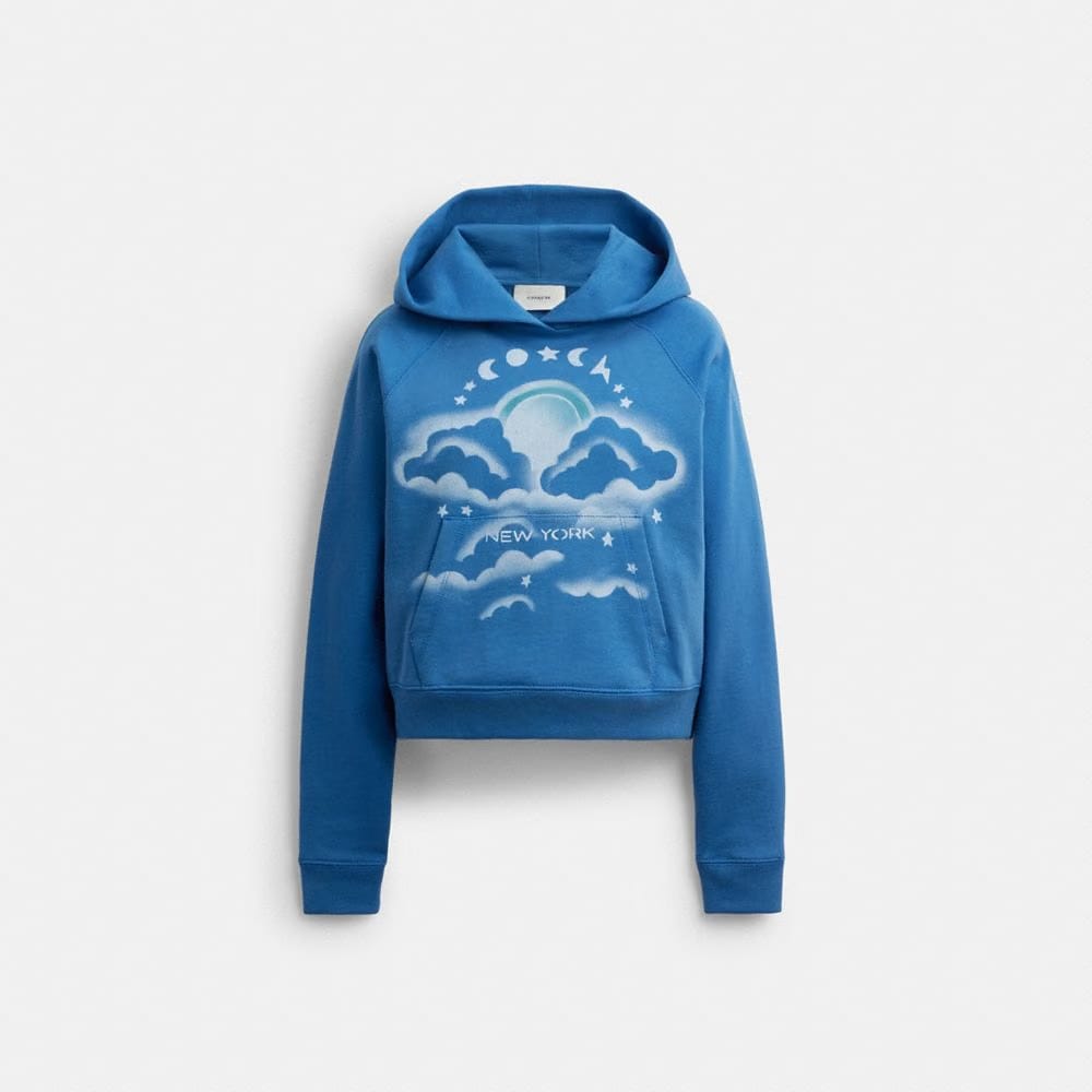 Coach Airbrush Hoodie Blue