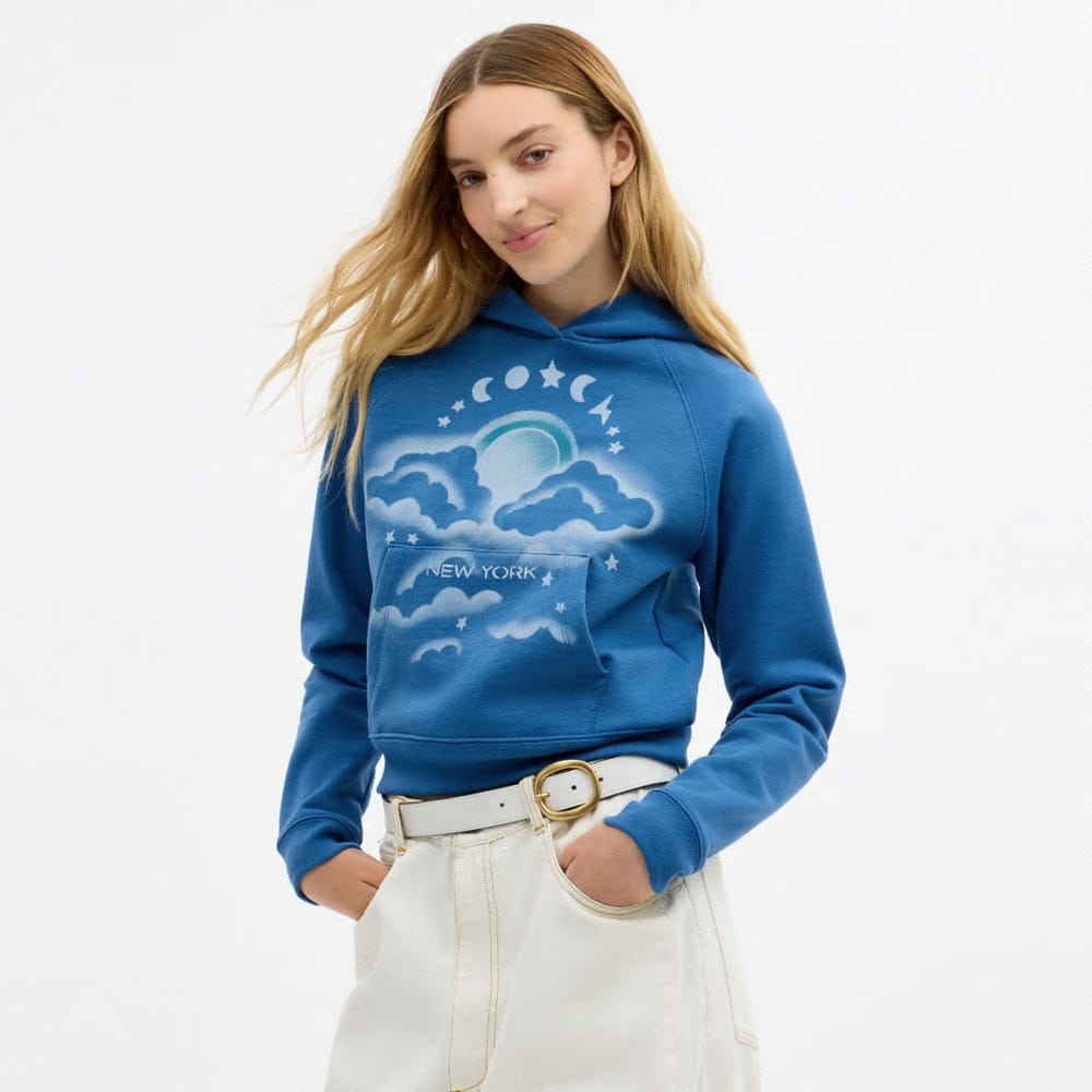 Coach Airbrush Hoodie Blue