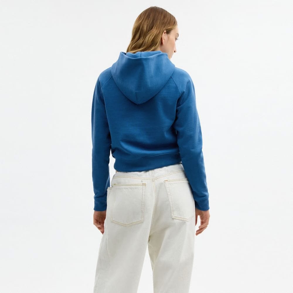 Coach Airbrush Hoodie Blue