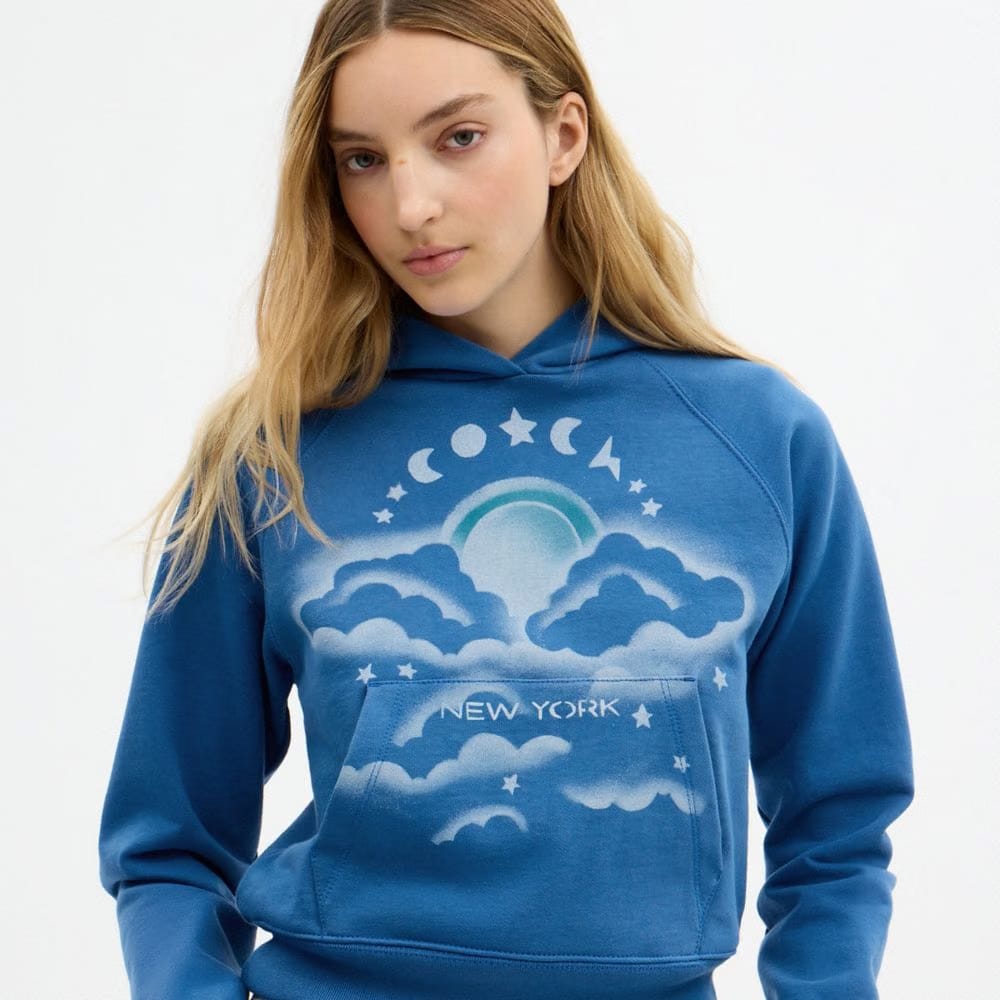 Coach Airbrush Hoodie Blue