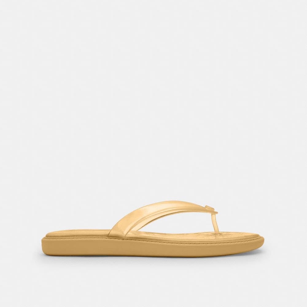 Women's Coach Jelly Flip Flop In Signature Vanilla