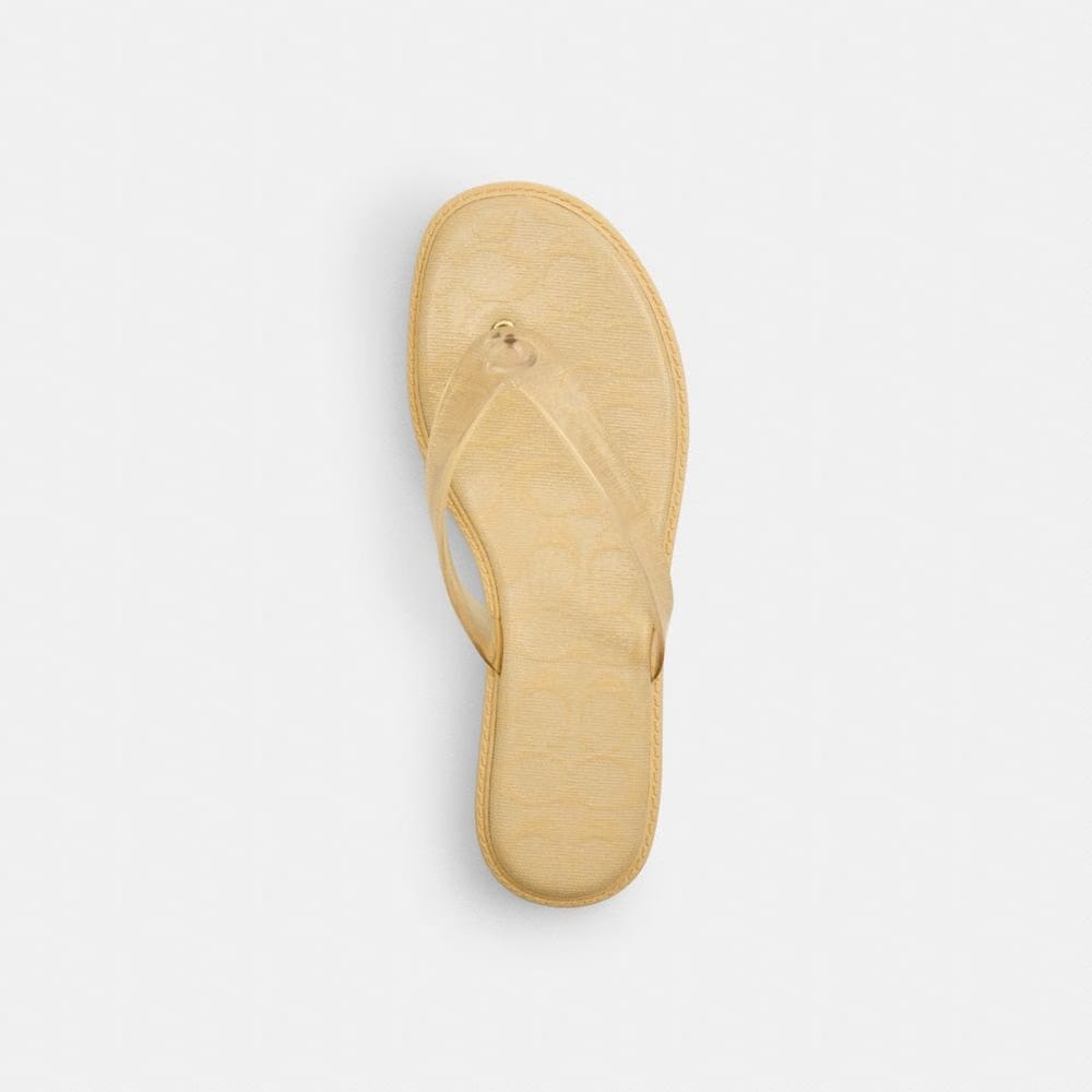 Women's Coach Jelly Flip Flop In Signature Vanilla