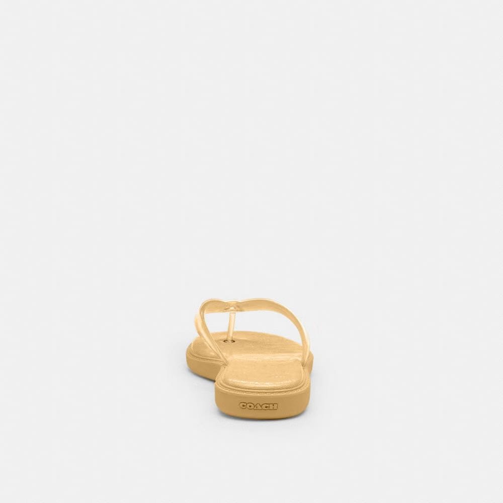 Women's Coach Jelly Flip Flop In Signature Vanilla
