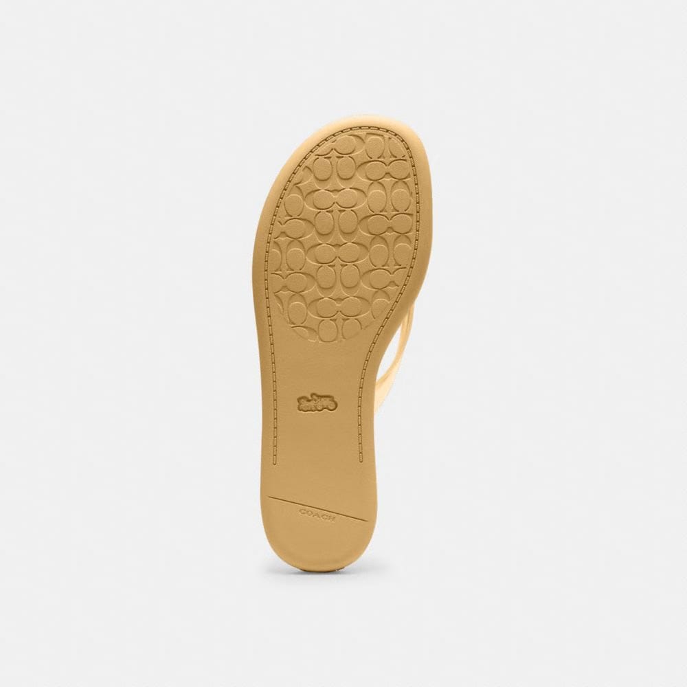 Women's Coach Jelly Flip Flop In Signature Vanilla