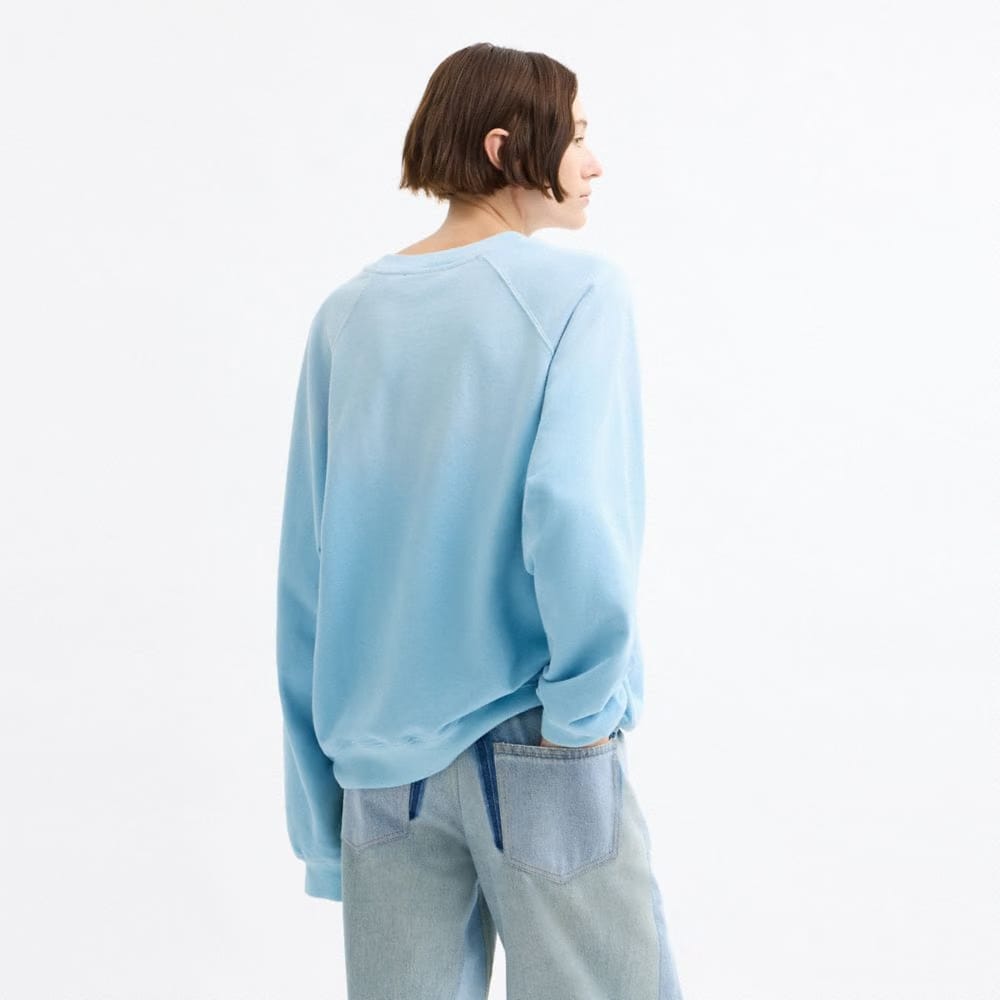 Coach Disney X Coach Pluto Crewneck Sweatshirt Baby Blue