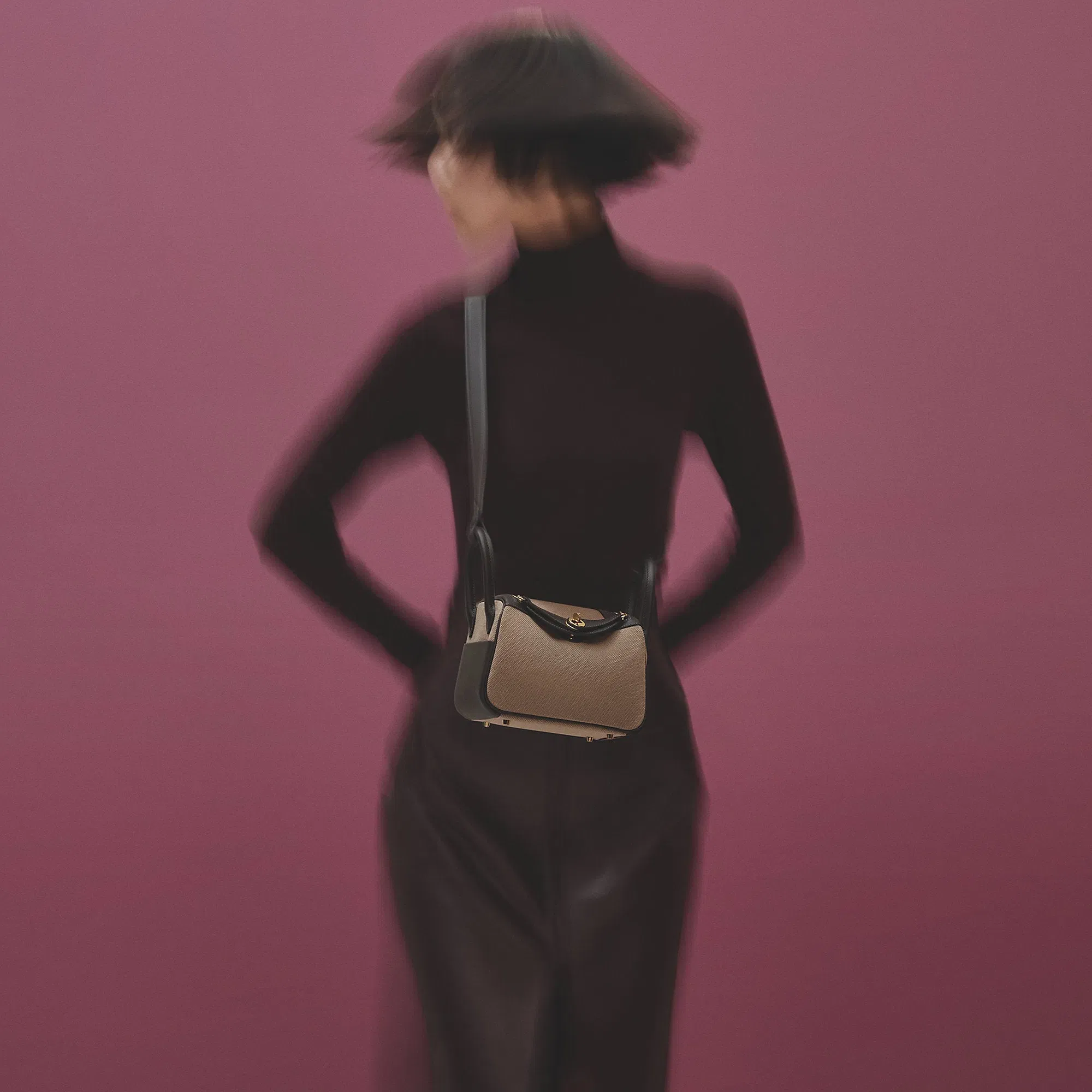 Hermes Lindy Ii Mini Bag Toile & Cuir Mousse