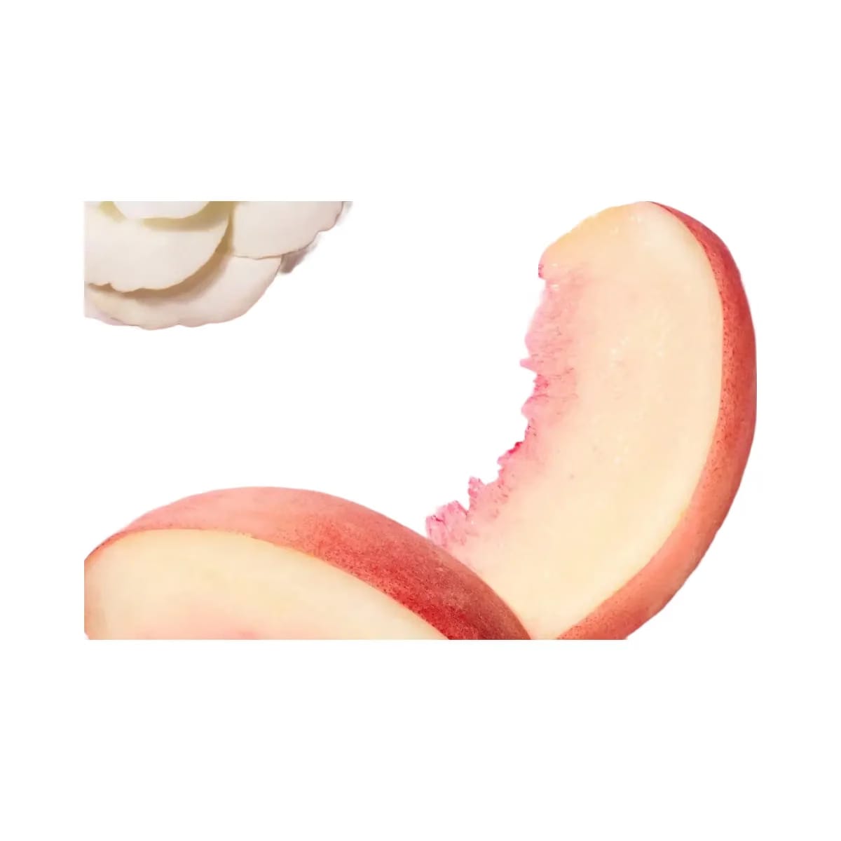 TATCHA The Kissu Lip Scrub Moisturizing Lip Exfoliant