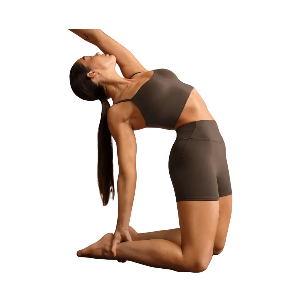 Nike X Skims Matte Women's High-Waisted 3" Boyshorts Dark Sepia