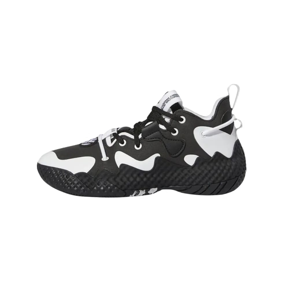 Adidas Harden Vol. 6 J 'Black White'