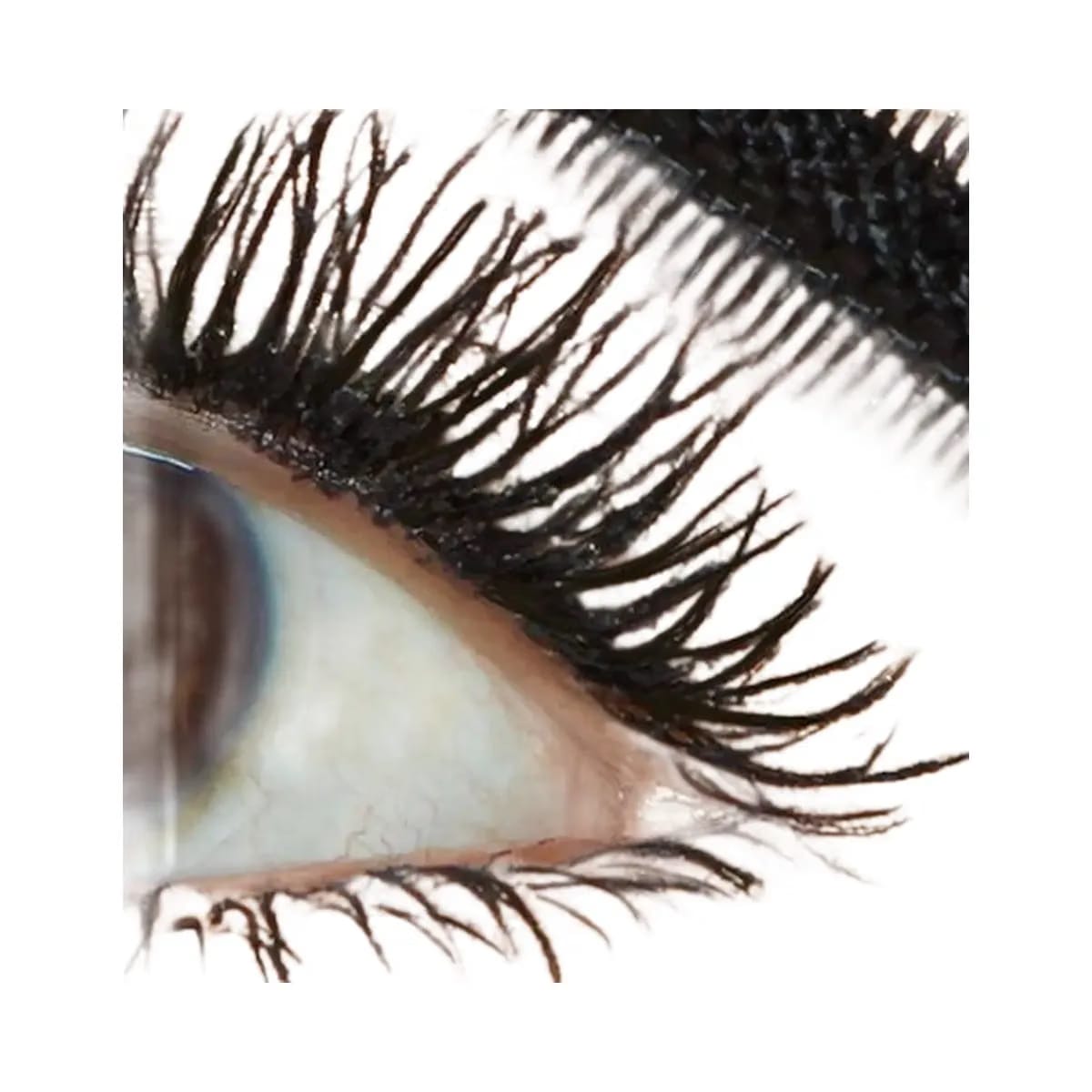 Tarte Maneater Mascara
