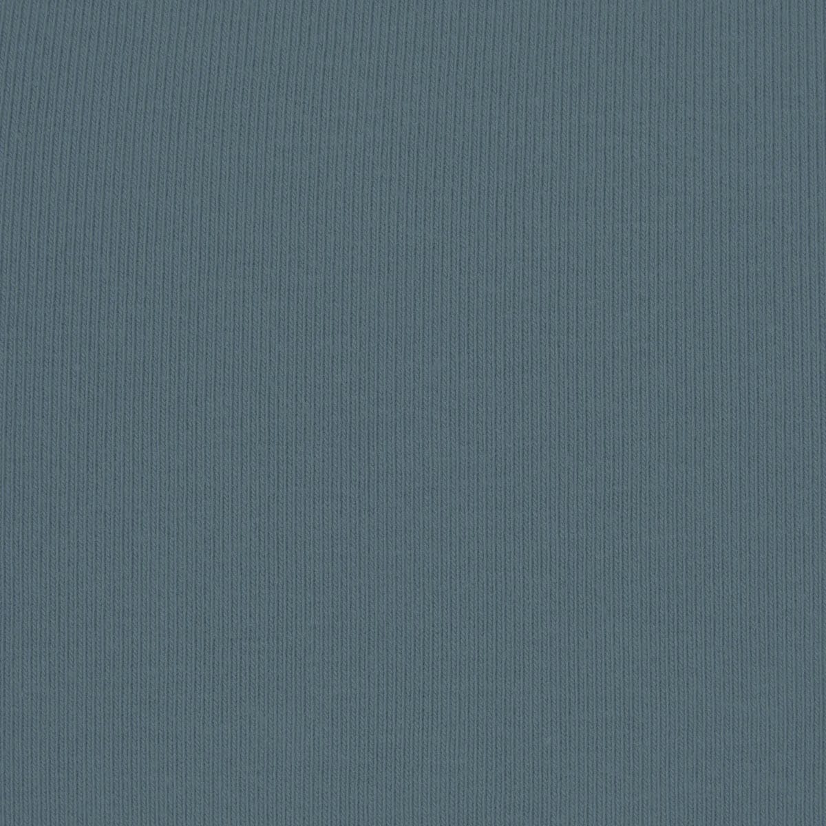 Skims Cotton Jersey T-shirt Kyanite