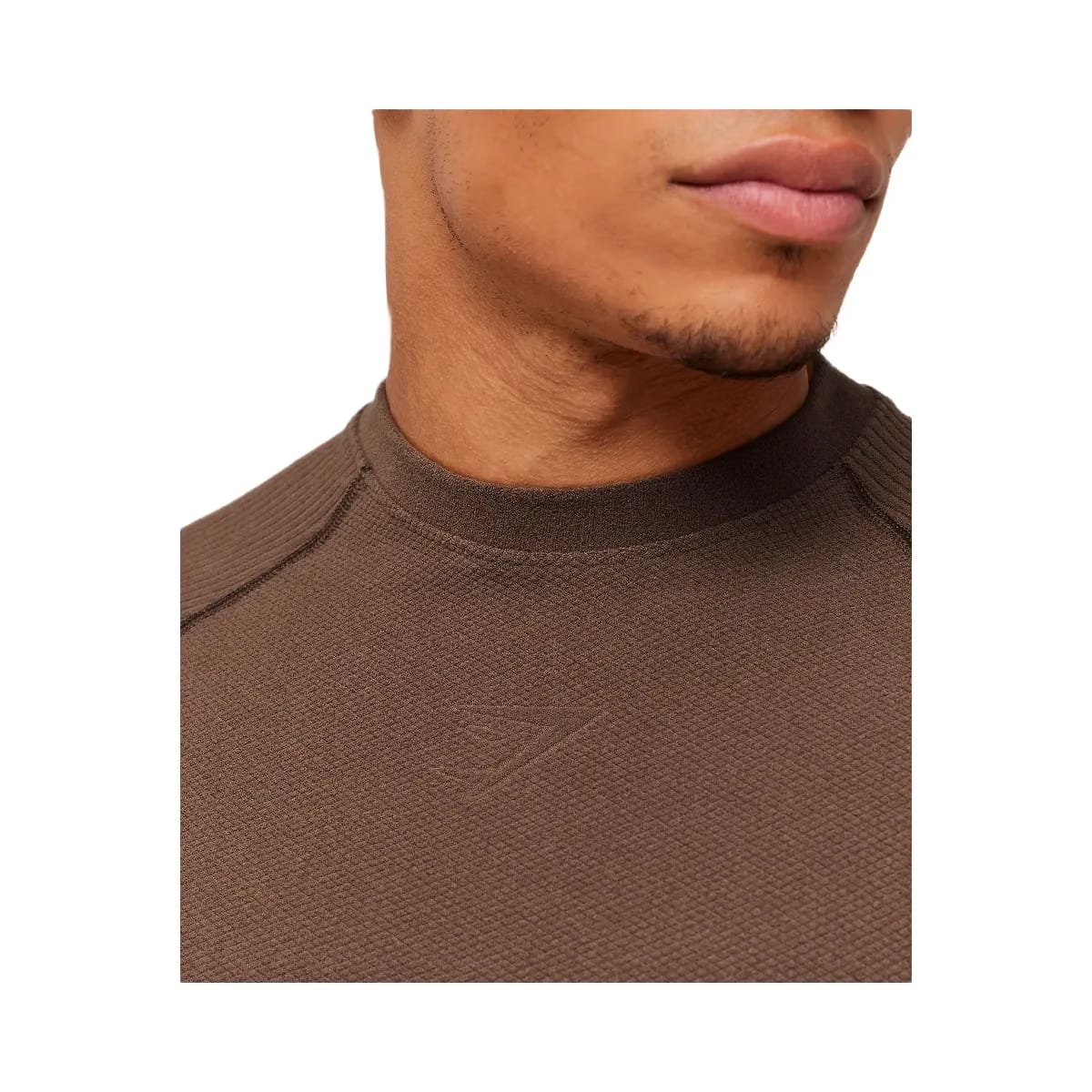 Gymshark Physique T-Shirt "Soft Brown Archive Brown"