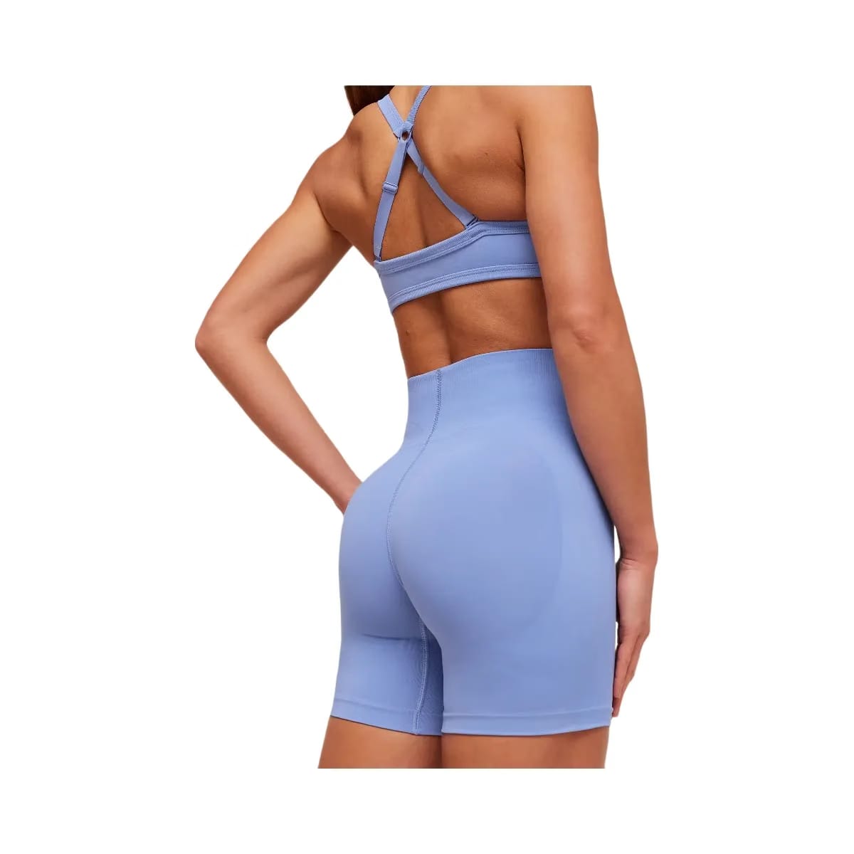 Gymshark Energise Seamless Shorts "Steady Purple"