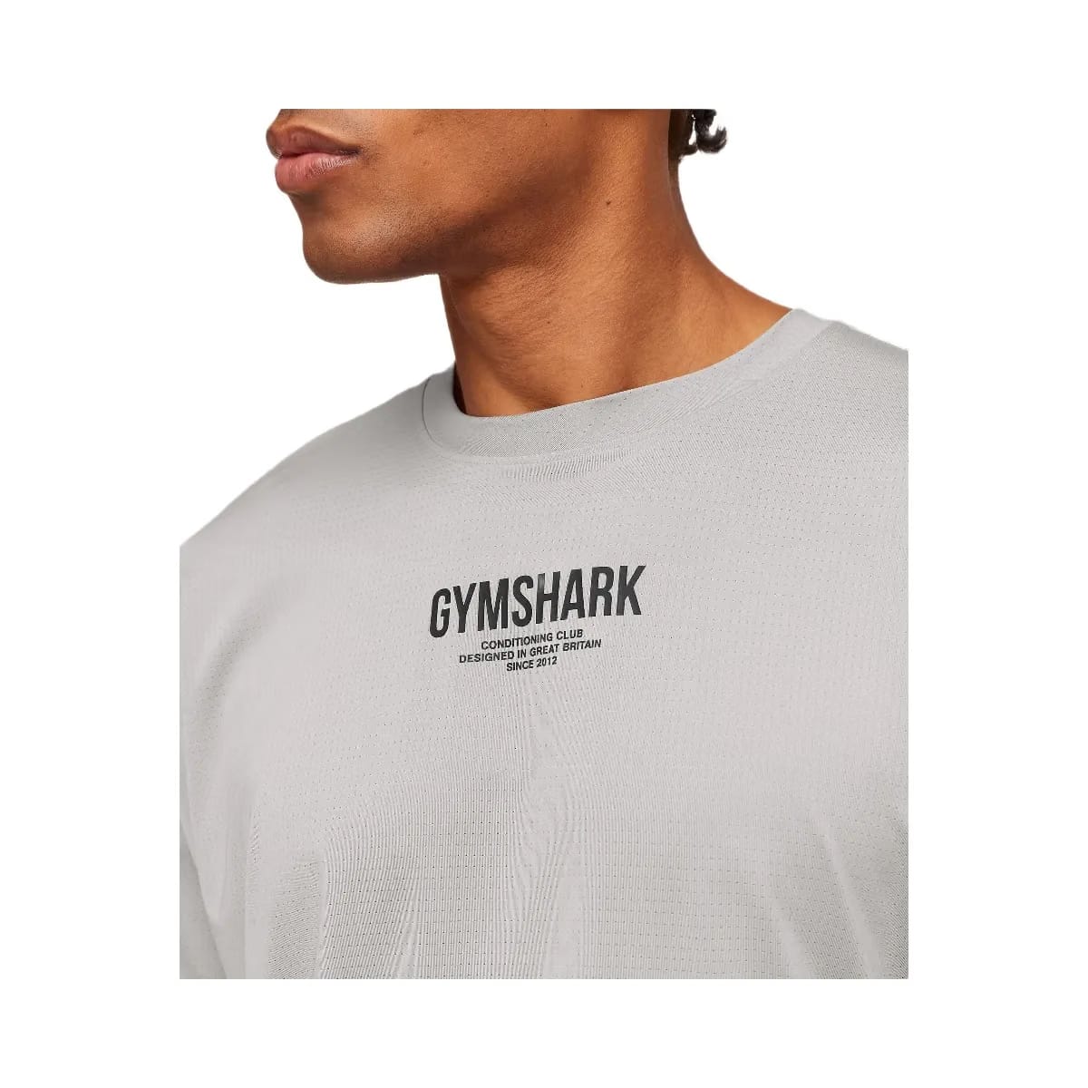 Gymshark Chrome Graphic T-Shirt Stratus Grey