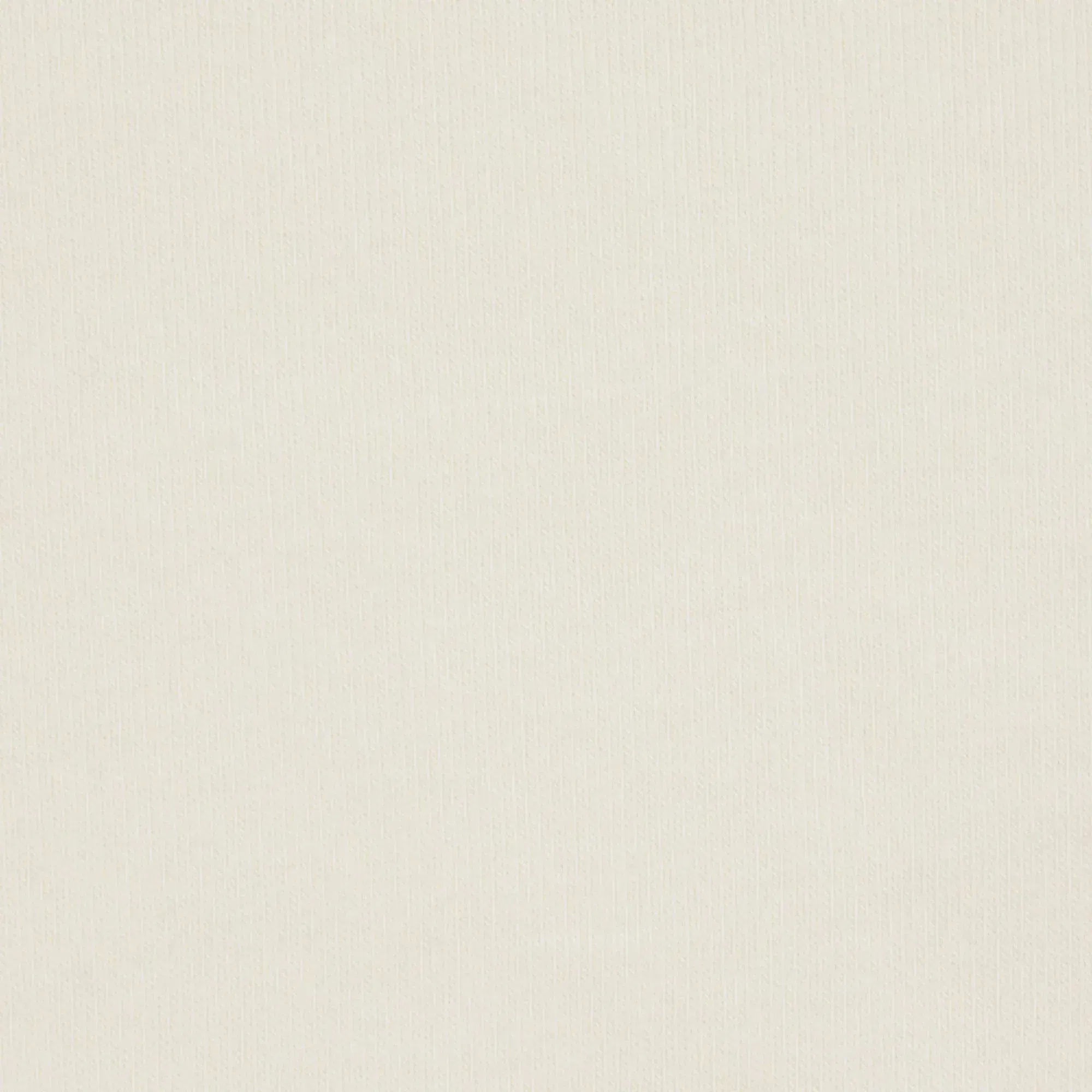 Skims Cotton Jersey T-shirt Bone