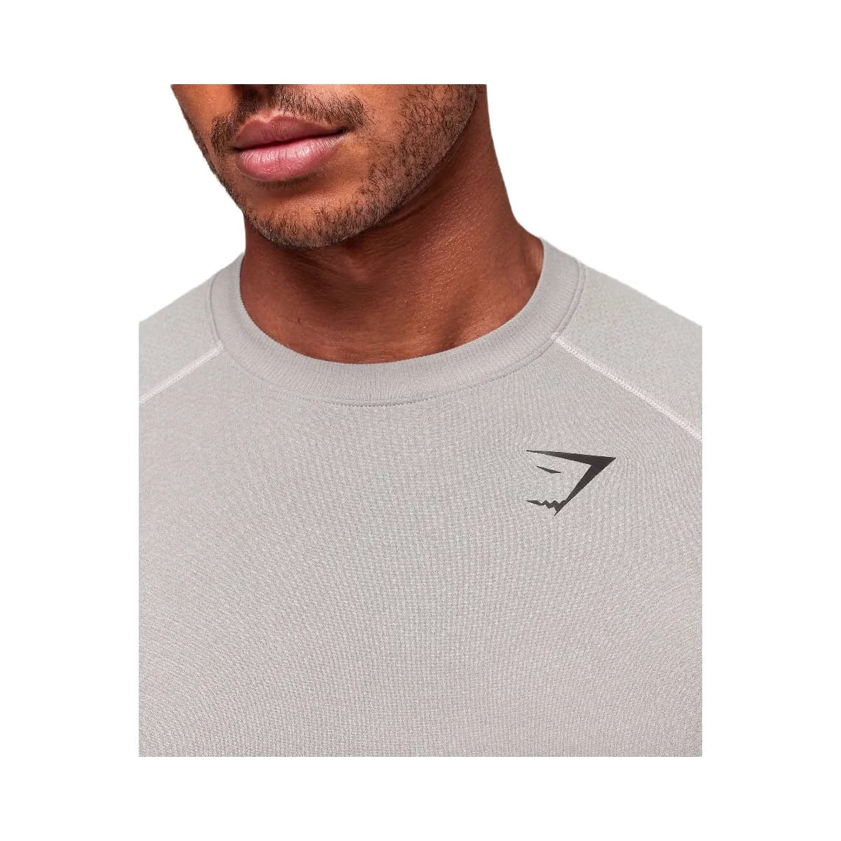 Gymshark Vital Seamless T-Shirt "Light Grey Smokey Grey"