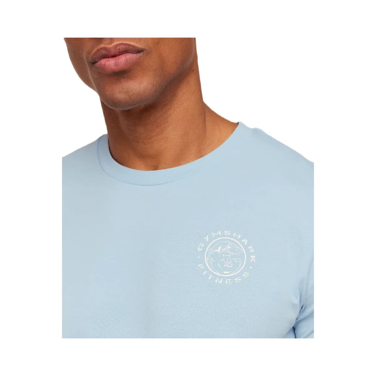 Gymshark Legacy T-Shirt Chilled Blue