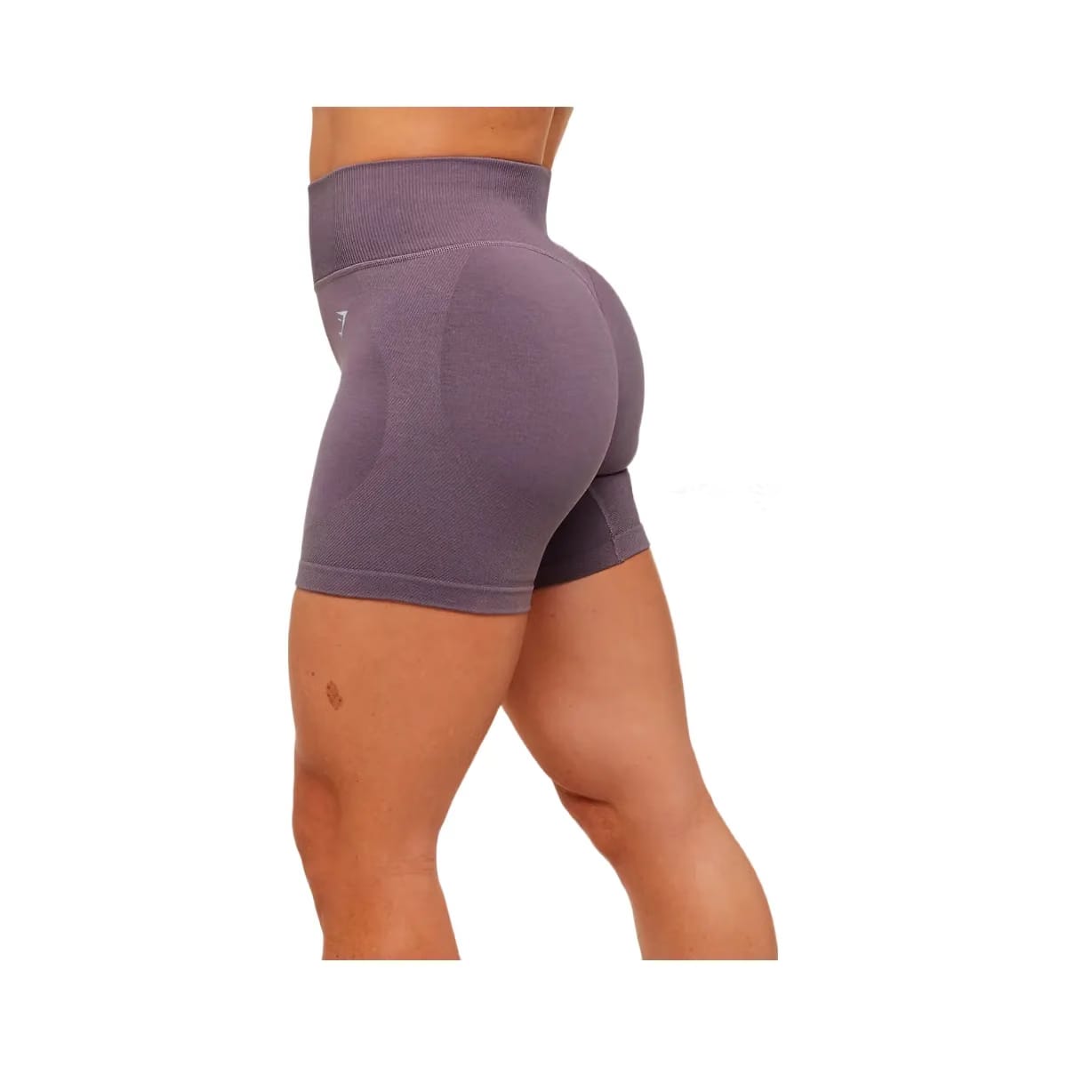 Gymshark Interval Seamless Shorts "Dusk Purple"