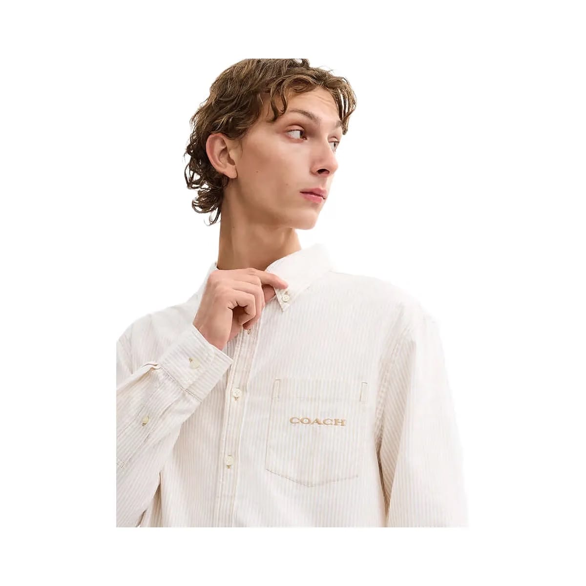 Coach Long Sleeve Button Down Shirt Neutral Stripe