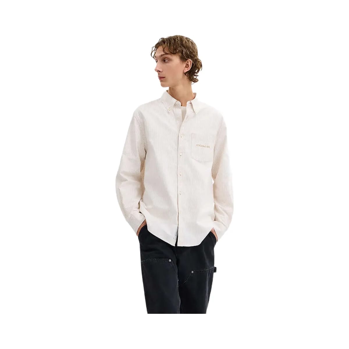Coach Long Sleeve Button Down Shirt Neutral Stripe