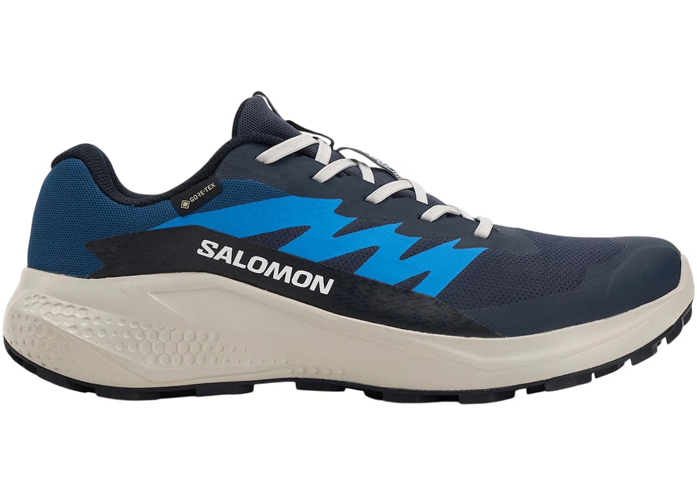 Salomon Alphaglide Gore-Tex Blue Night Lunar Rock French Blue