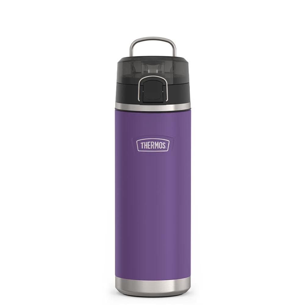 Thermos 24oz Icon Water Bottle With Spout Purple