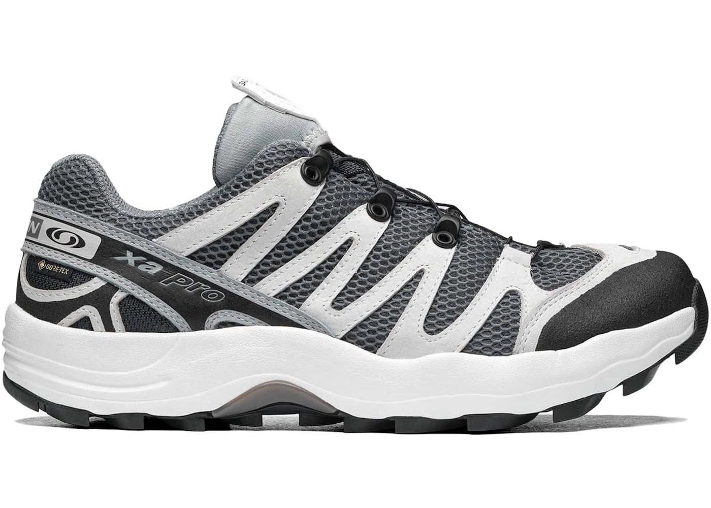 Salomon Xa-Pro 1 Gore-Tex Beams Quarry Ebony