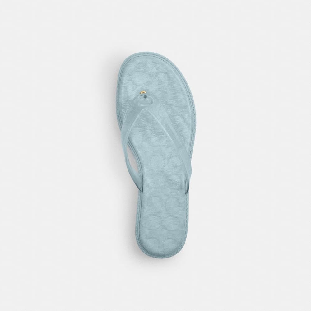 Women's Coach Jelly Flip Flop In Signature Sea Mist