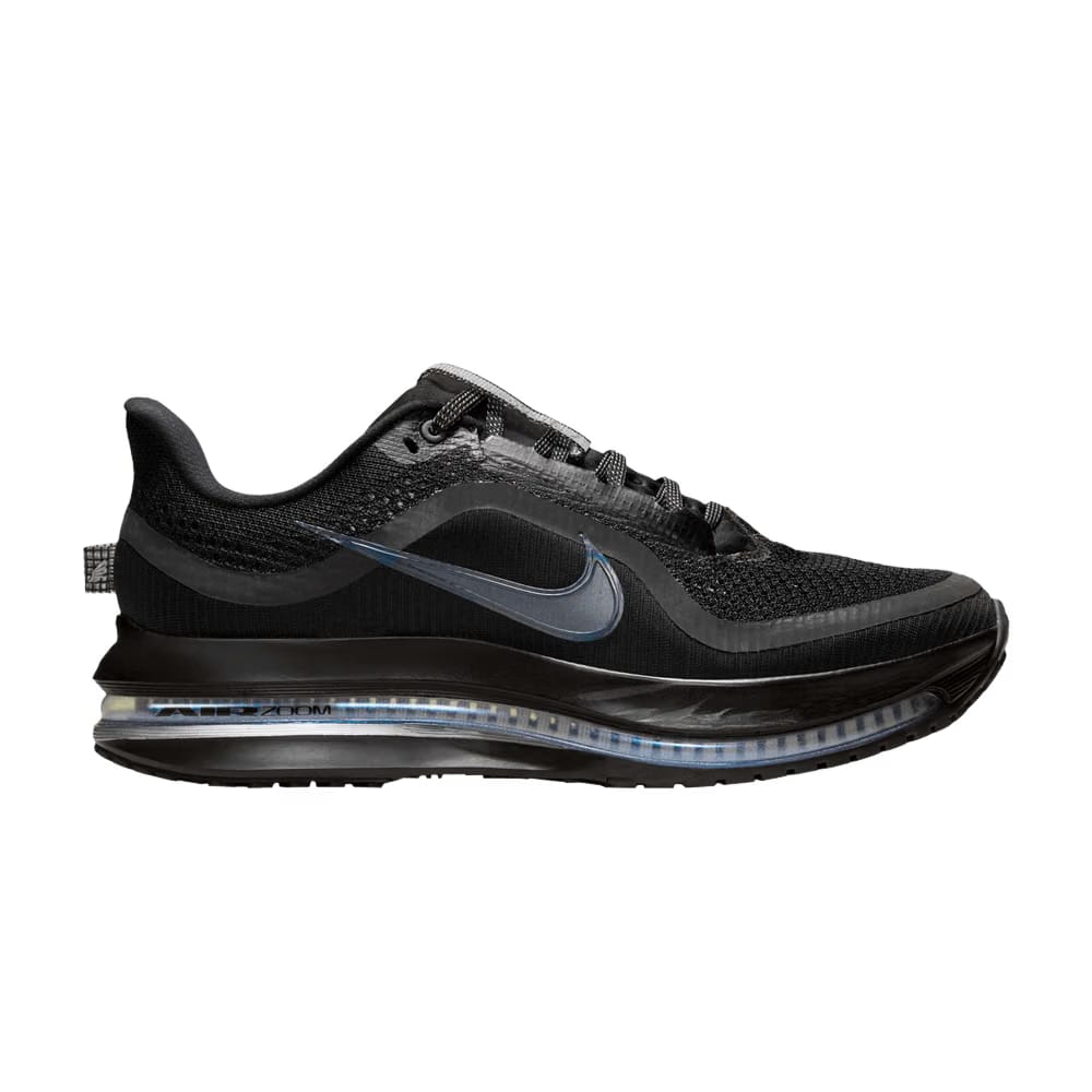 Nike Wmns Pegasus Premium 'Black Metallic Silver'