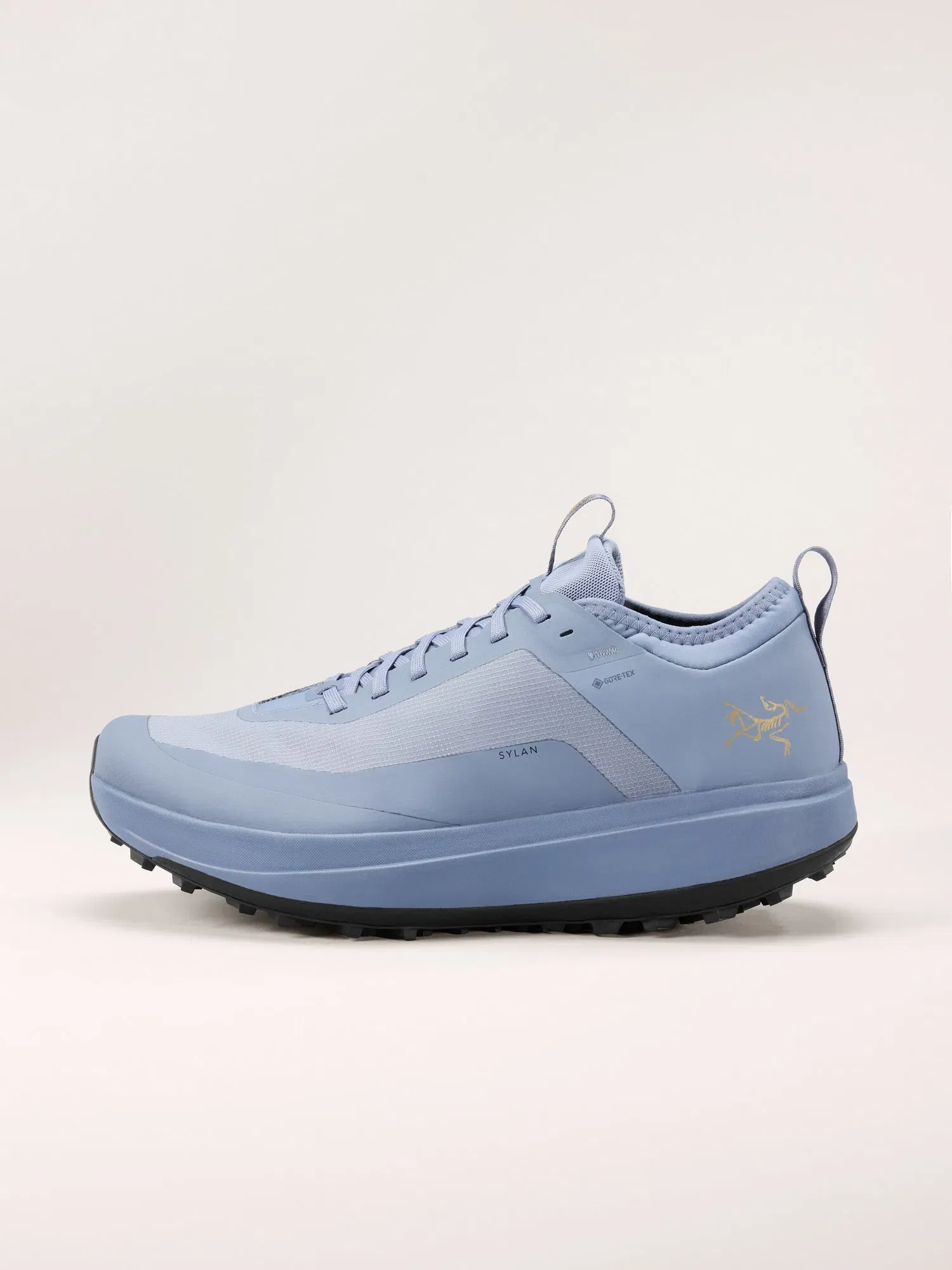 Arcteryx Outlet Sylan Gtx Shoe Mens Stratus Dk Stratus