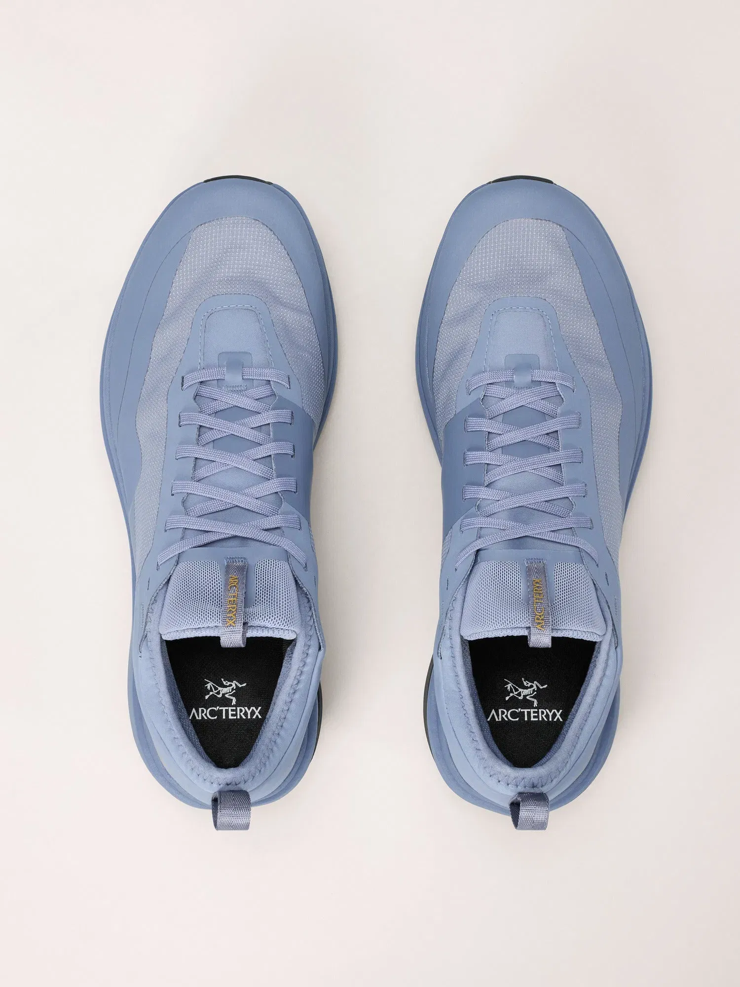 Arcteryx Outlet Sylan Gtx Shoe Mens Stratus Dk Stratus