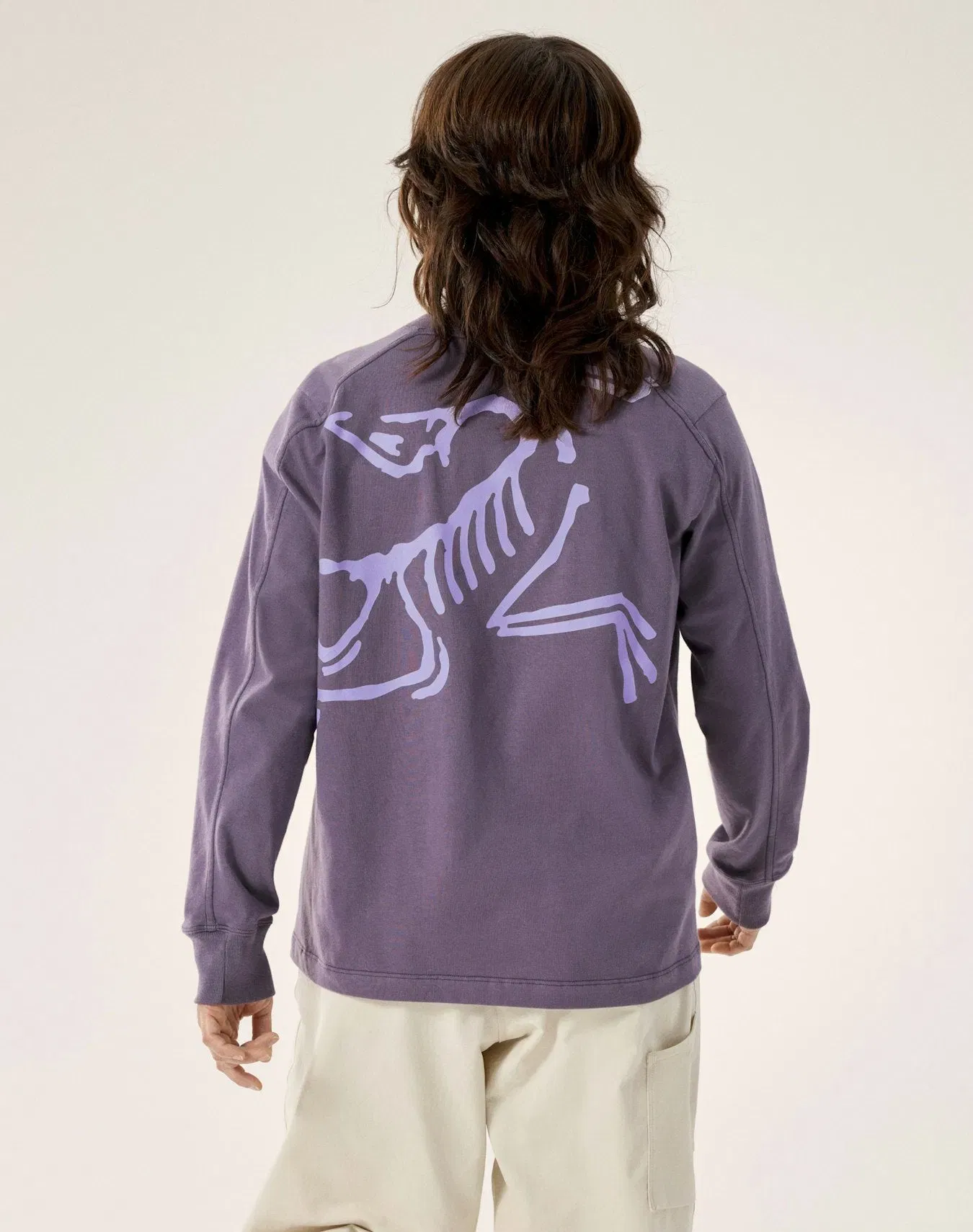 Arc'teryx Kragg Cotton Bird Crew Neck Shirt LS Women's Lt Moondrop