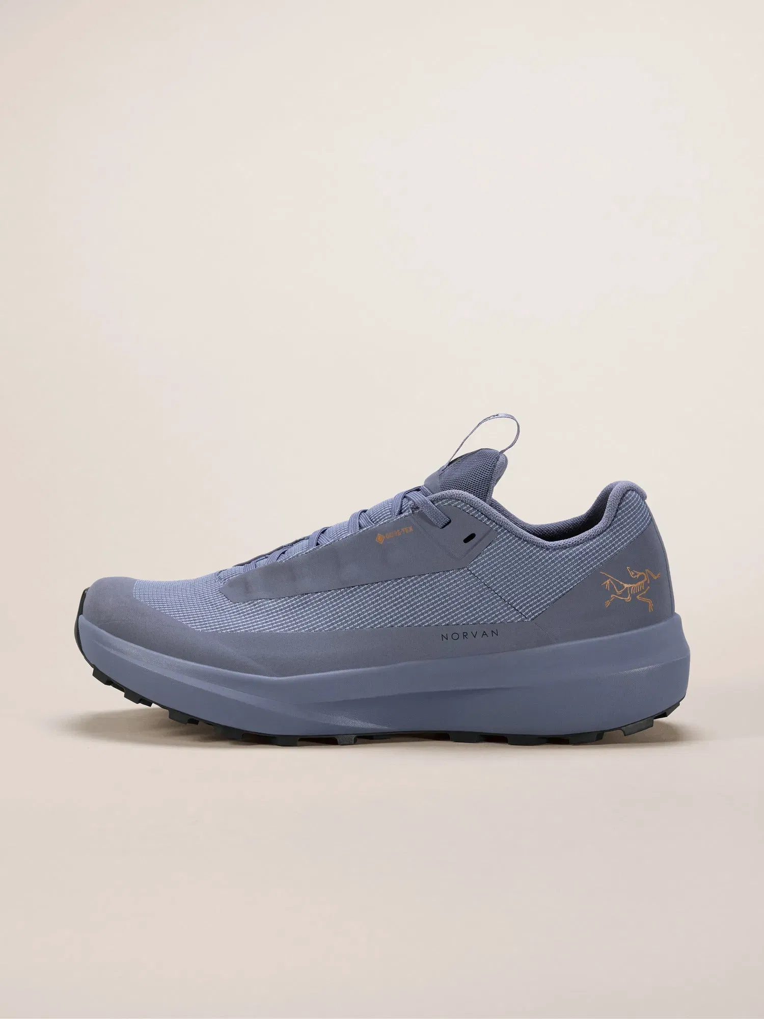 Arcteryx Outlet Norvan Ld 4 Gtx Shoe Womens Stratus
