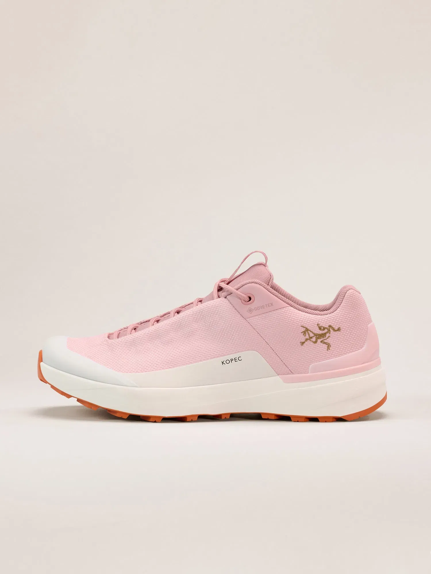 Arcteryx Outlet Kopec Gtx Shoe Womens Bliss Dk Arctic Silk