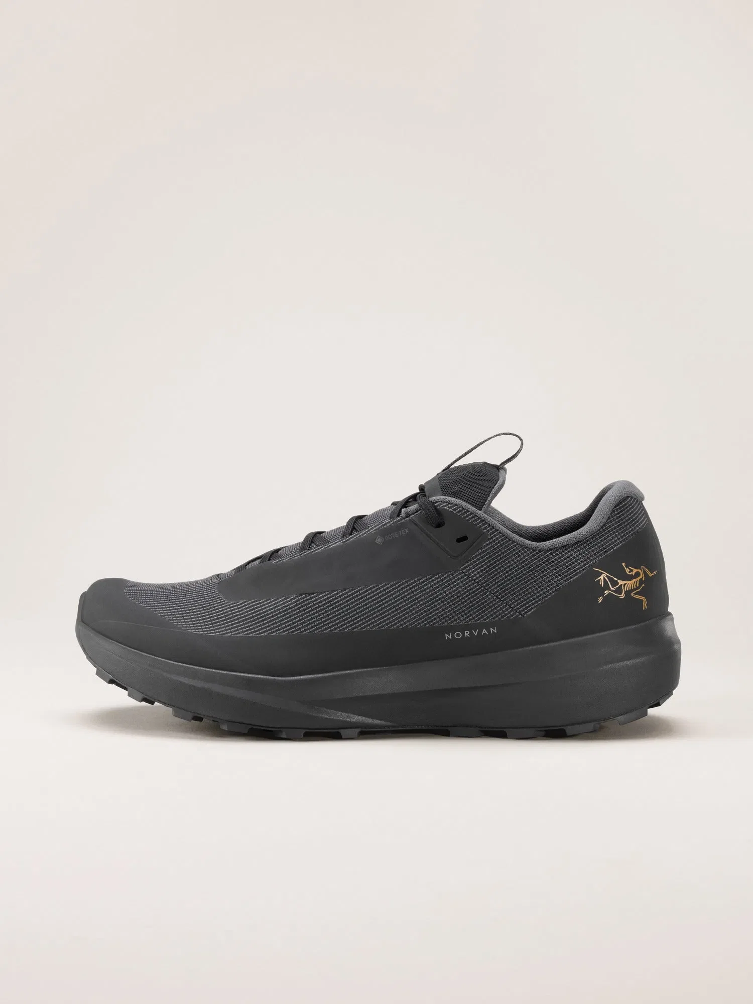 Arcteryx Norvan Ld 4 Gtx Shoe Womens Black