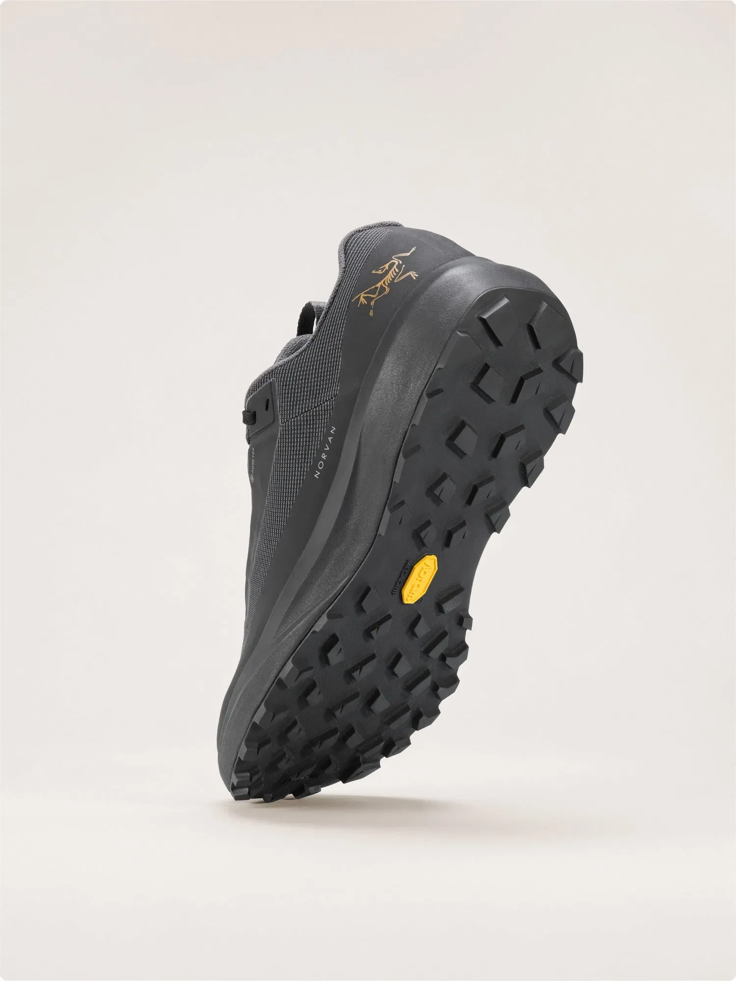 Arcteryx Norvan Ld 4 Gtx Shoe Womens Black
