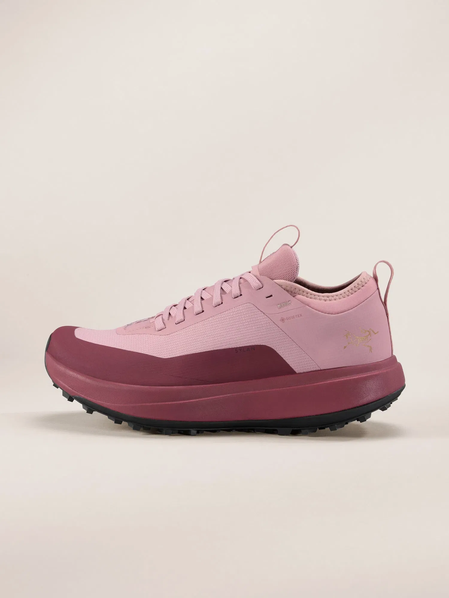 Arcteryx Outlet Sylan Gtx Shoe Womens Dk Bliss Mars