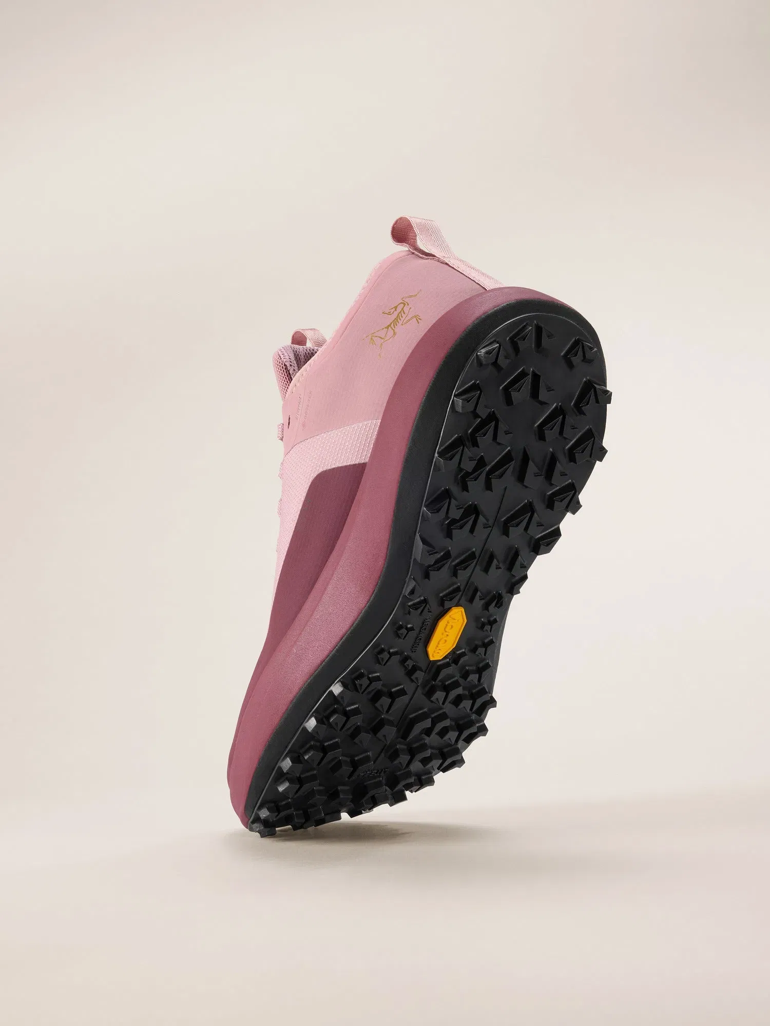 Arcteryx Outlet Sylan Gtx Shoe Womens Dk Bliss Mars