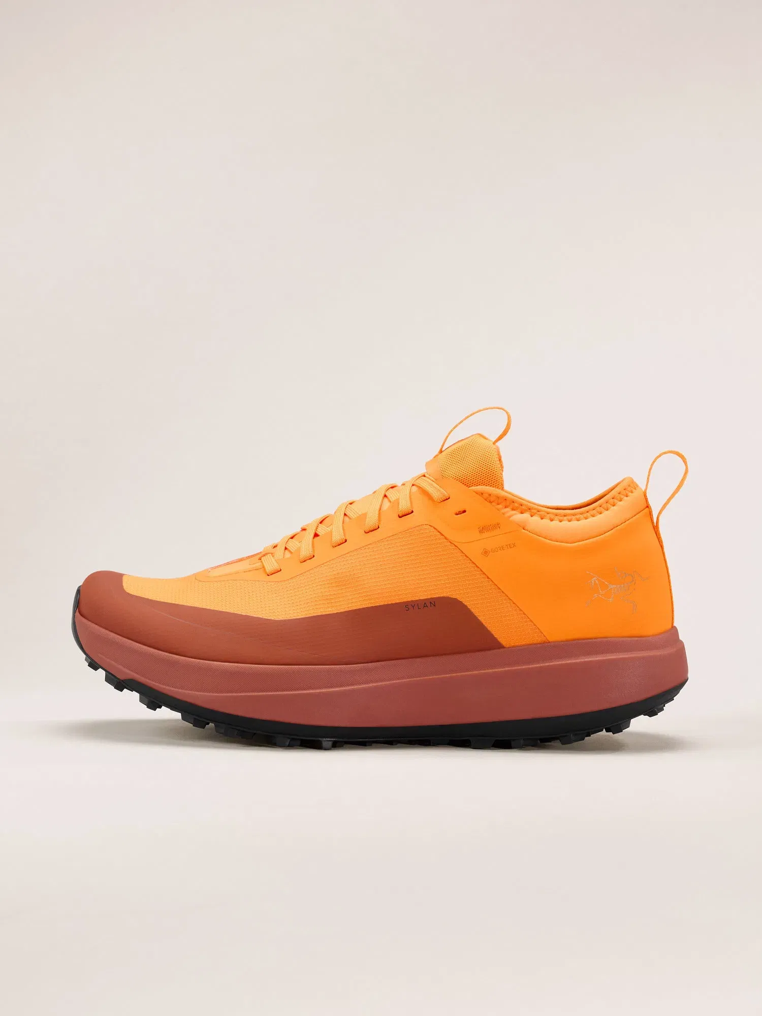 Arcteryx Outlet Sylan Gtx Shoe Mens Blaze Dk Copper Sky