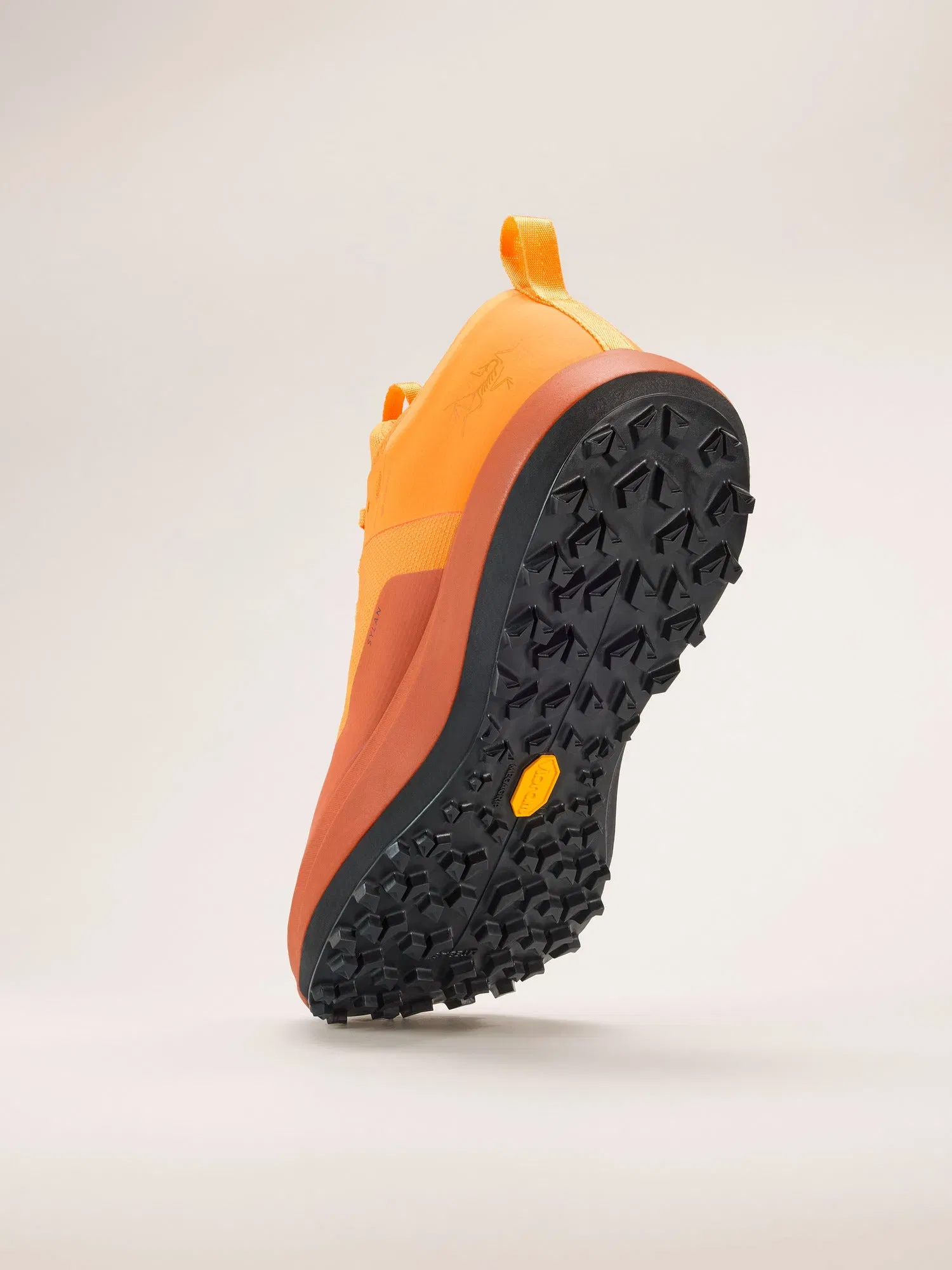 Arcteryx Outlet Sylan Gtx Shoe Mens Blaze Dk Copper Sky