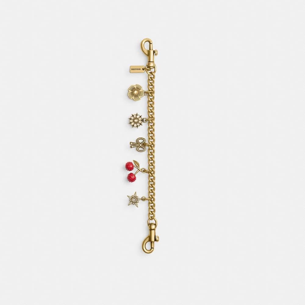 Coach Crystal Motif Chain Bag Charm Brass Multi