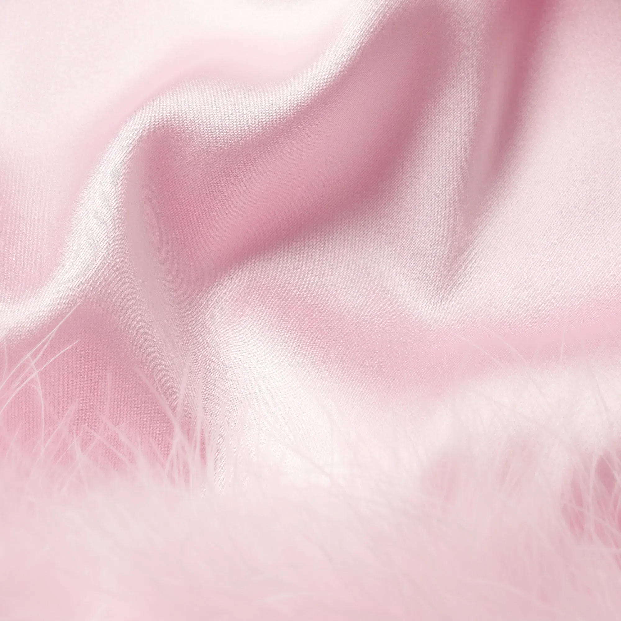 Silk Feather Trim Gloves