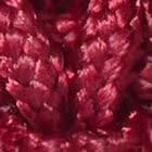 Summer Daze Strawberry Cord Bracelet