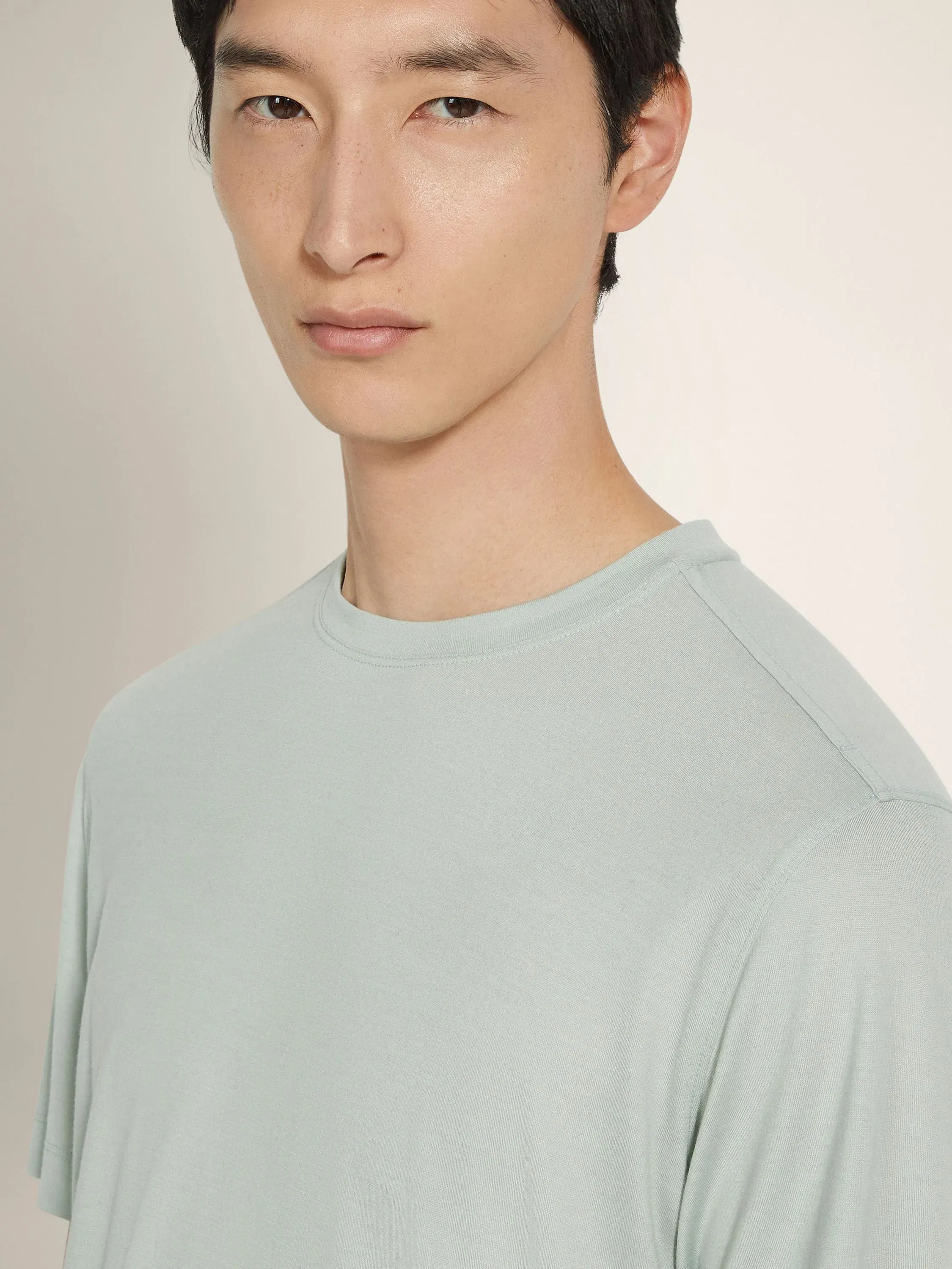 Zegna Light Sage Green Vellus Aureum T-Shirt