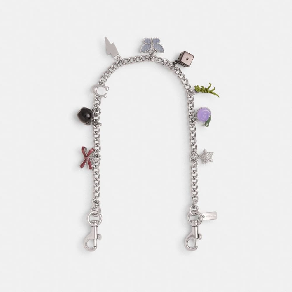 Coach Charm Chain Strap Silver Multi