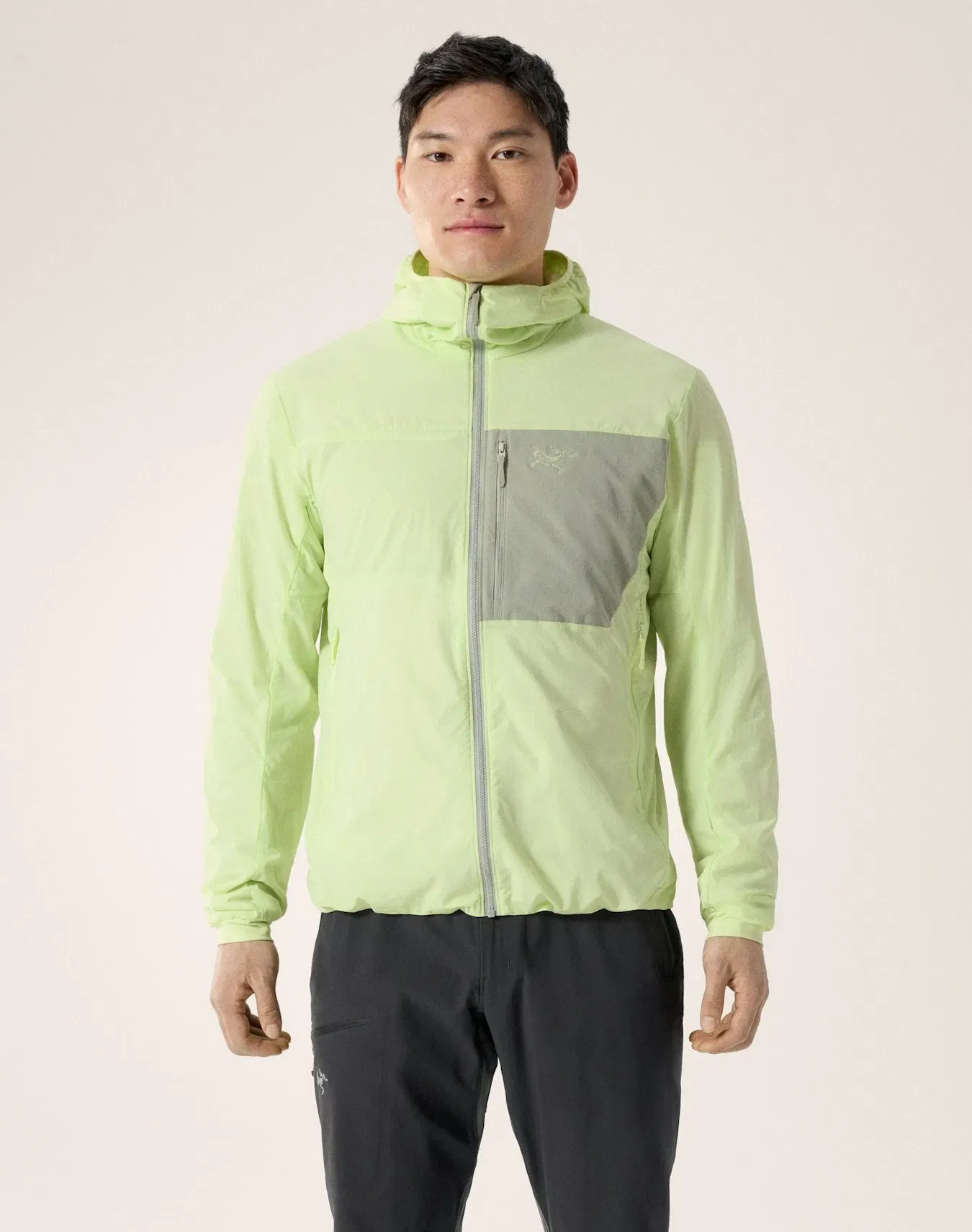 Arc'teryx Proton SL Hoody Men's Shincha Habitat