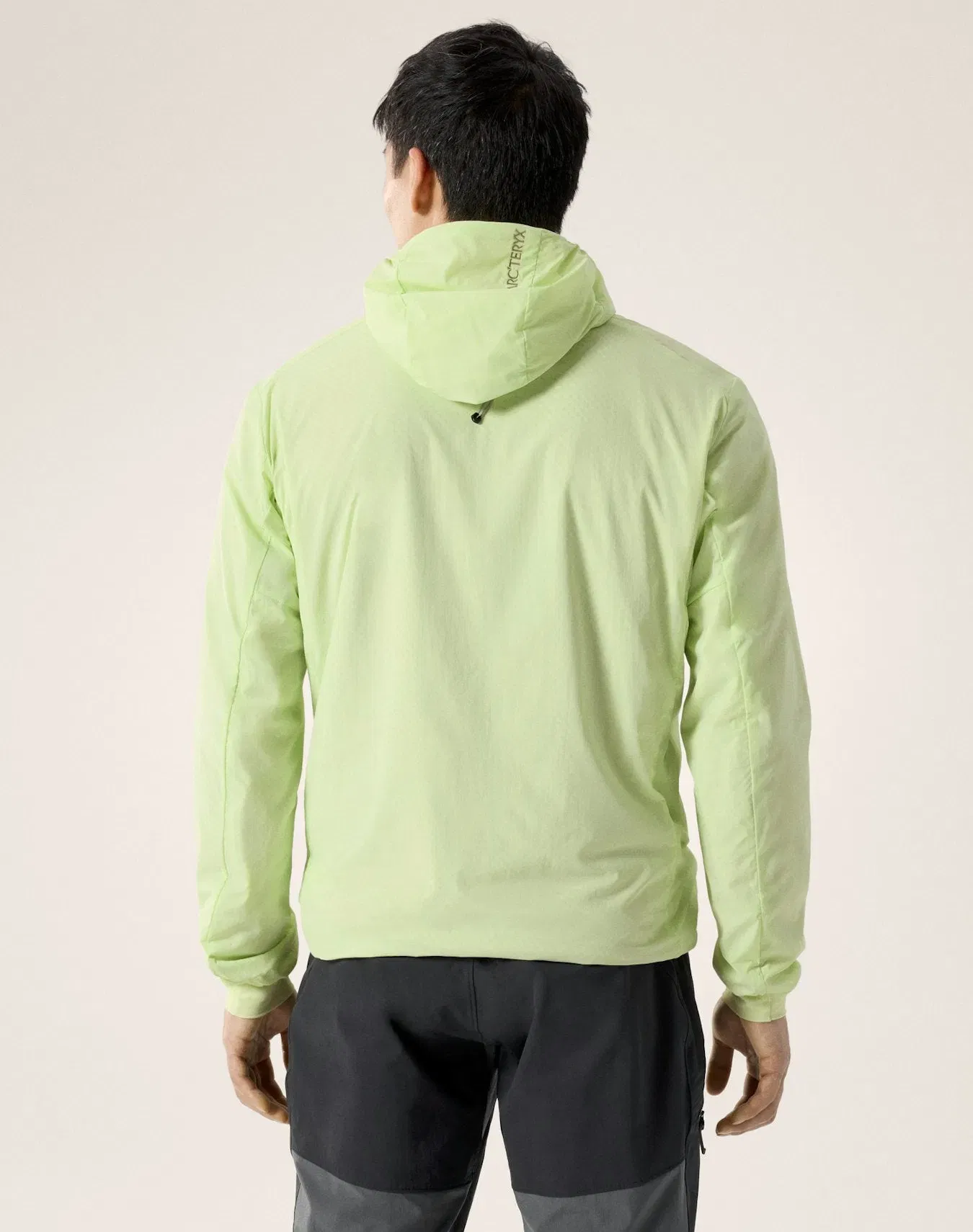 Arc'teryx Proton SL Hoody Men's Shincha Habitat