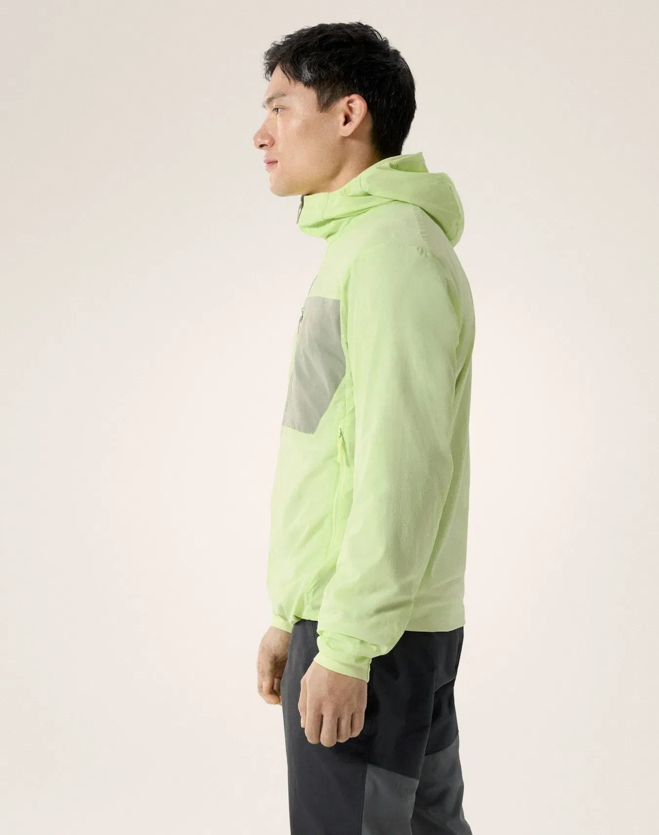 Arc'teryx Proton SL Hoody Men's Shincha Habitat