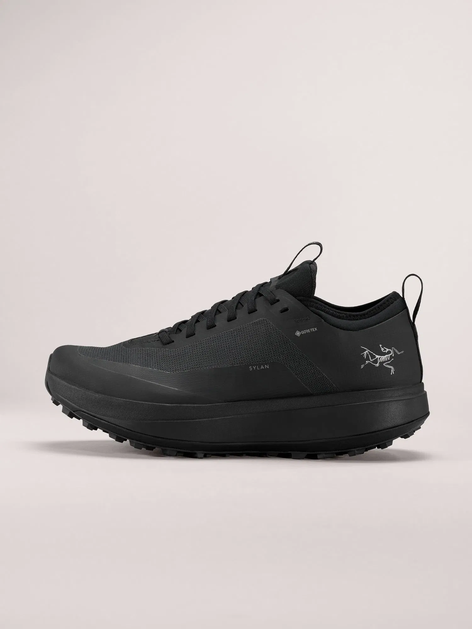 Arcteryx Outlet Sylan Gtx Shoe Womens Black